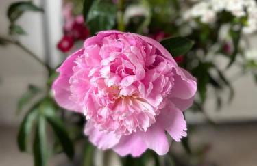 The Farthings, Romsey Apartment - Foto 34