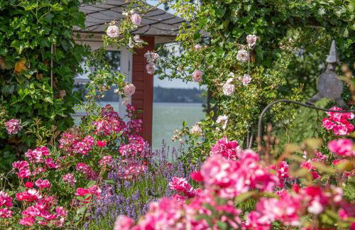 Ola Maika i - Das gute Leben am See - Photo 26