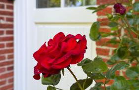 Tetenbüllerbü - immer schulfrei! - Foto 7