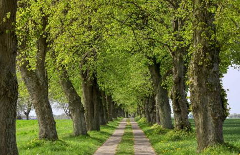 Poolhaus 2 In Hohendorf - Photo 55