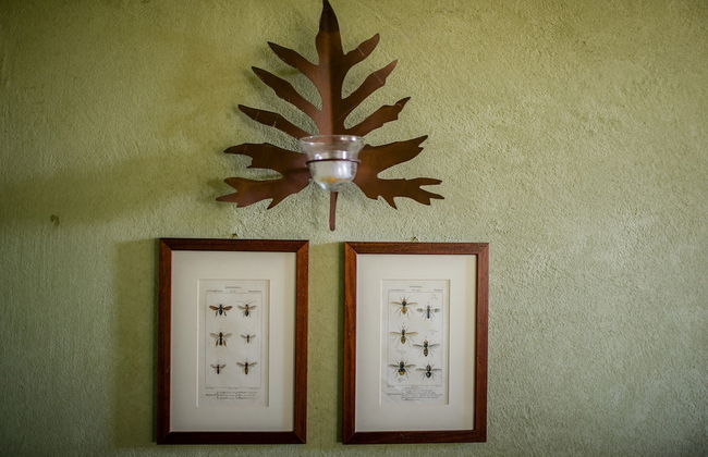 Romantic Retreat With Pool - Foto 38