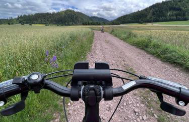 Willa Widokówka Lubawka - Foto 40