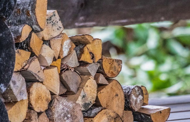 Kuikanranta - Photo 21