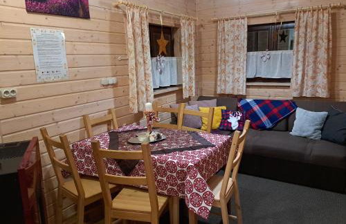 Domki Borowiackie nad brzegiem jeziora - Foto 32