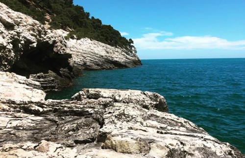 Villa Francesca - Manfredi Homes&Villas - Foto 70