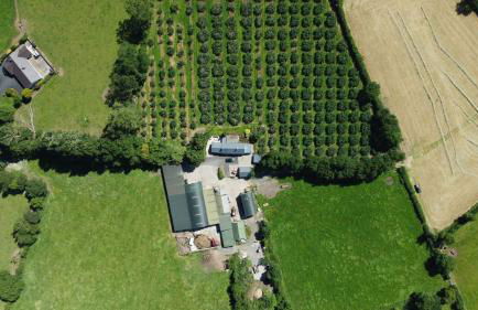 Campbell's Cottage - Foto 47