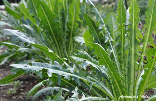 Agriturismo Tholos - Photo 32