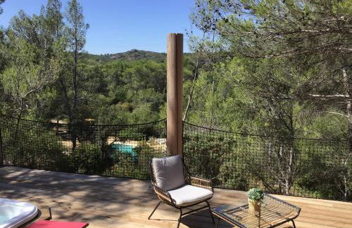 Avignon : Le Mas Cott, le paradis dans la nature - Foto 17