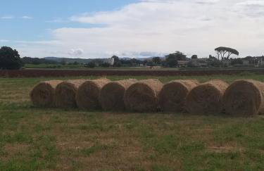 Apartments Eliva - Foto 44