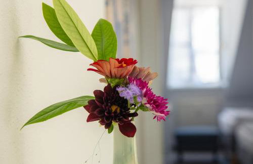 Ferienwohnungen hinter der Residenz - Foto 23