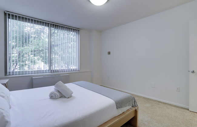 Crystal City Comfortable Apartments - Photo 13