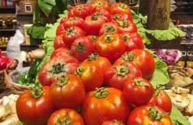 El Llar de Sofía - Foto 37