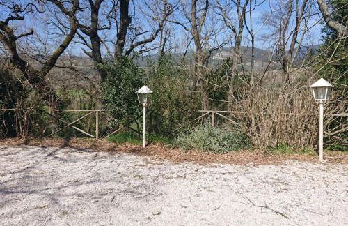 Casa campagna bosco - Foto 11