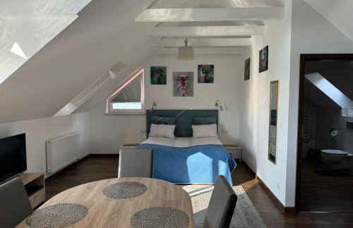 Villa Sadula - Apartamenty na Mazurach - Foto 54