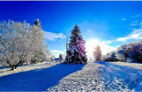 Casita - Sterneferienhaus mit Garten, Sauna und Wallbox - Foto 68