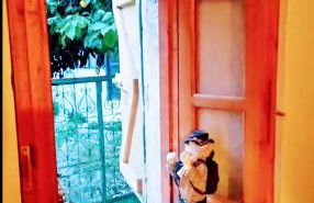 Country traditional house in Corfu village, Greece - Photo 30