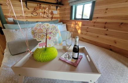 Cater Tober Haven - Photo 34