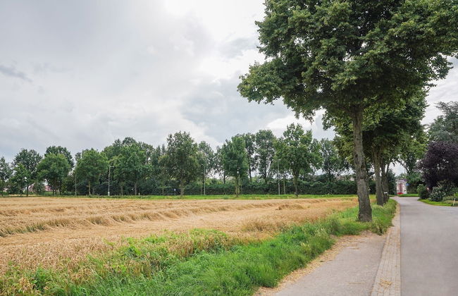 Bungalow in Landgraaf With Terrace - Foto 41