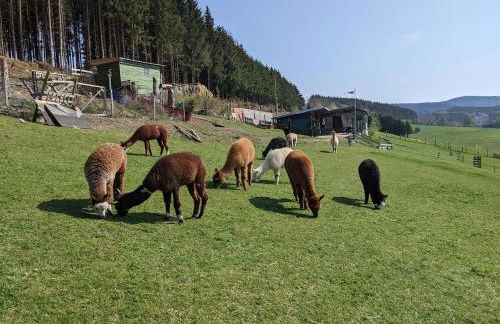Große Ferienwohnung in Winterberg Hildfeld - Photo 22