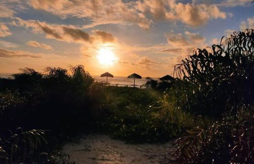 Pérola Rosa 04 - Foto 12