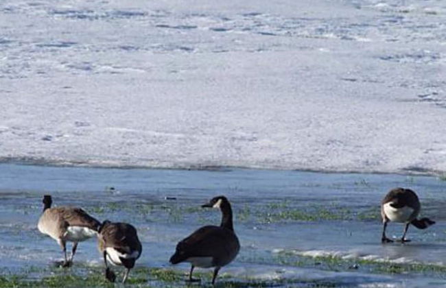 Scenic Retreat in Boddum - By Traum Ferienwohnungen - Foto 36