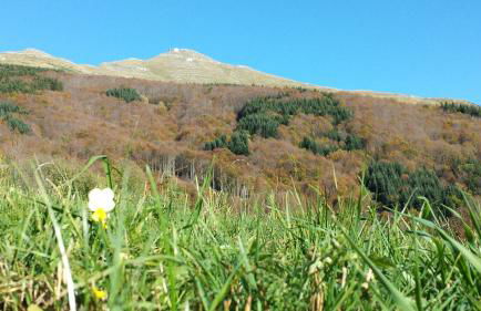 Il Borgo Dei Celti - Photo 67