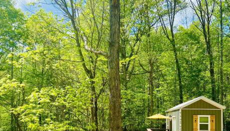 Enchanting Cottage In The Woods - Foto 3