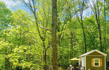 Enchanting Cottage In The Woods - Foto 3