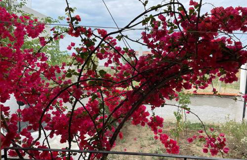 Εξοχική κατοικία με σοφίτα - Foto 54