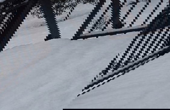 Cradle Alpine Retreat - Foto 63