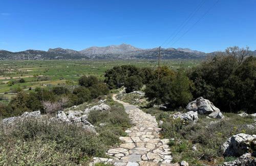 Dictamus Homes - Foto 62