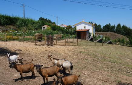 Casa Margarida, Quinta Carmo - Alcobaça - Nazaré - Foto 22