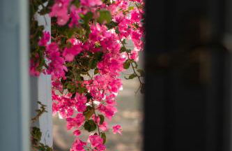 Villa Nina, dreamy little cycladic home in Amorgos - Foto 30