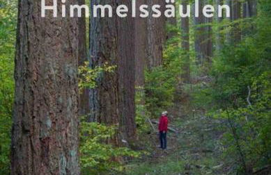 Fachwerkhaus im Sauerland - Goldhase Anno 1700 - Foto 59