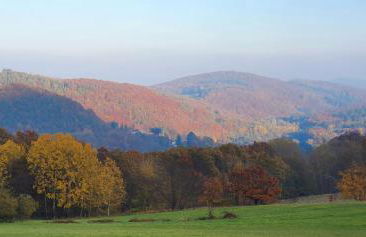 Ferienwohnung zum Märchenwald - Foto 45