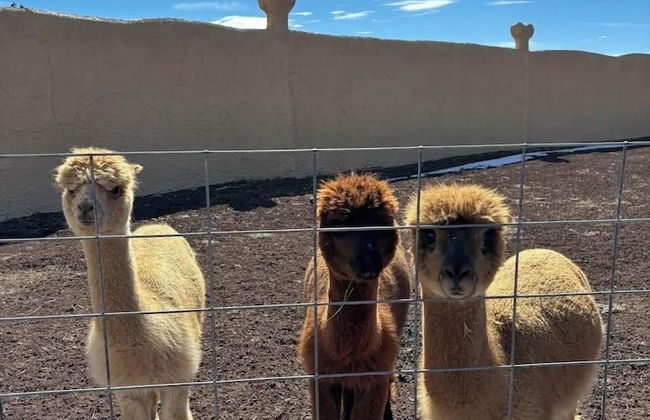 Raptor Ranch Glamping - Foto 13