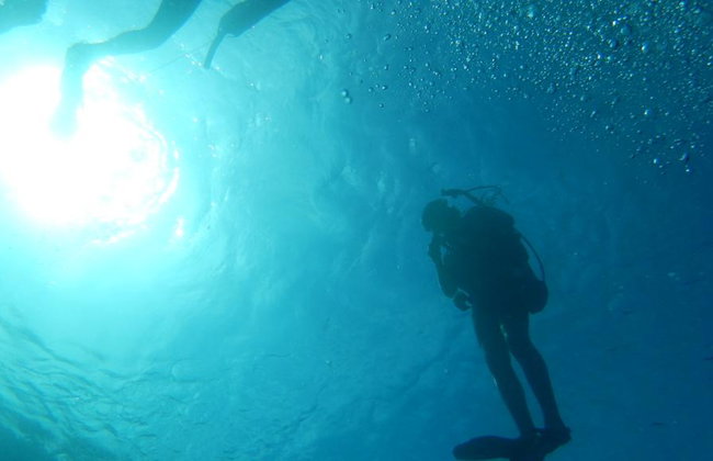 Beneath the Blue: Dive into the Wild Pacific - Photo 7