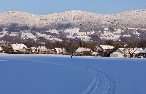 Dom lub apartamenty z widokiem na góry Wichrowe Wzgórza z basenem Brenna - Foto 8