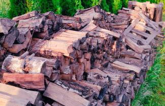 Zagroda Mazury -,,Domki nad Rozlewiskiem" - Foto 58