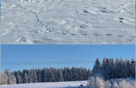 Ferienwohnung Altes Schulhaus Walberngrün - Foto 7