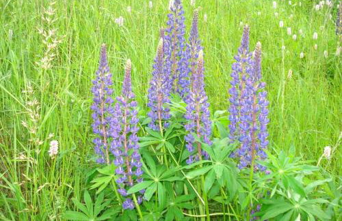 Holiday Apartment Schupp - Foto 76