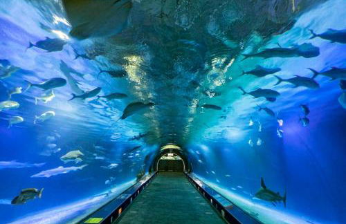 Duplex-Port-Valencia 14 - Foto 21