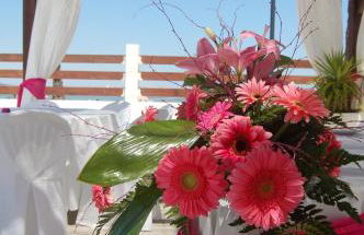 El Secreto del Agua - Foto 23