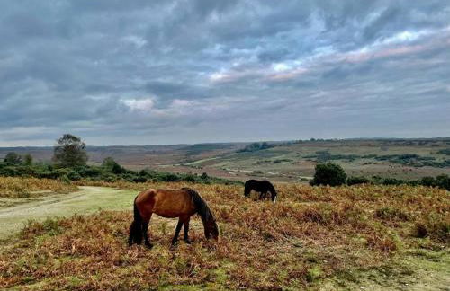 Arniss New Forest - Photo 52