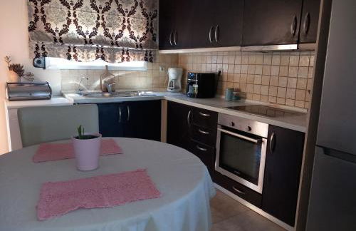 Fox's Sunshine - Foto 35