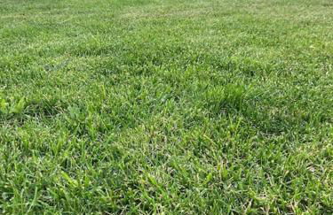 Gafa House - Family Accommodation and Workplace - Foto 62