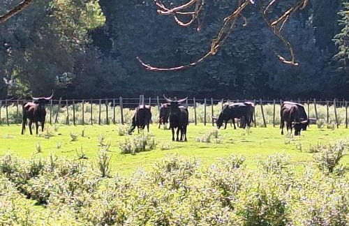 La Cartagène - charmant appartement entouré de nature - Photo 31