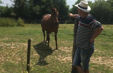 Vue Poneys, 40min Mt St Michel 30min Mer Draps Serviettes Baie Normandie Cottage - Foto 23