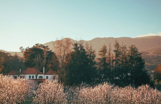Lugar da Pedra Alta - Foto 53