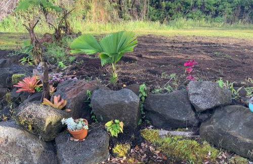 Majestic Banya tree cabin - Foto 6